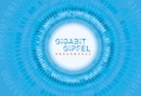 Gigabit Gipfel Moderation Hessen Wiesbaden
